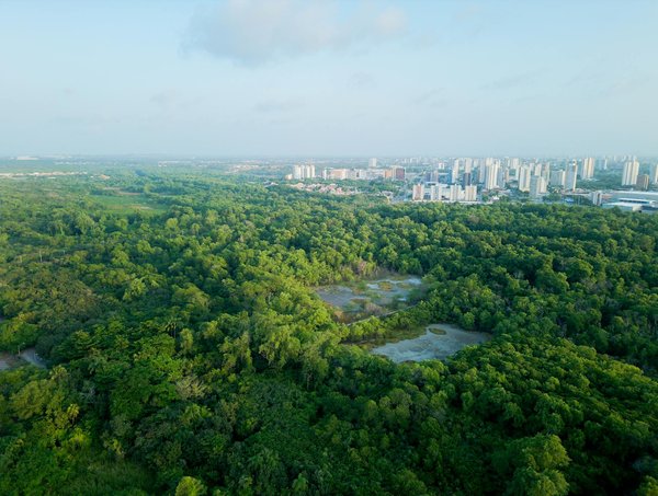 Assurance pour chiens : découvrez www.animut.net !