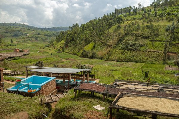 Quelle est la meilleure façon de transformer les déchets de papier en matériaux de construction écologiques ?