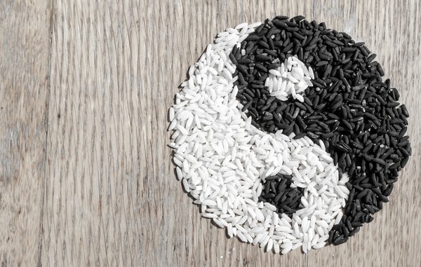 Le yin et le yang : comprendre l'origine, la signification et l'équilibre des forces créatrices
