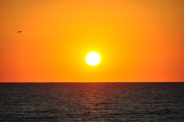 Un si grand soleil : épisodes en replay, résumés en avance, casting et diffusions